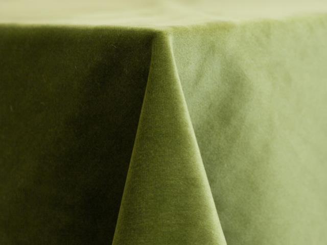 Rental store for DRAPE, 8  LEAF VELVET in Tupelo MS
