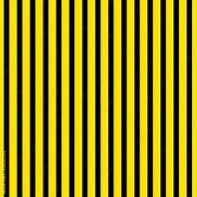 Rental store for DRAPE, 8  BLACK   YELLOW STRIPE in Tupelo MS