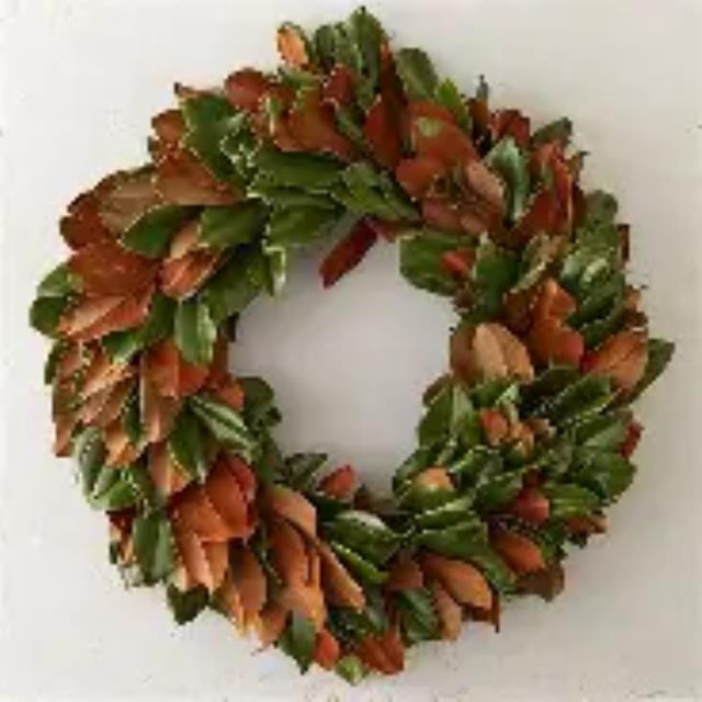 Rental store for WREATH, 27 RD MAGNOLIA LEAF in Tupelo MS