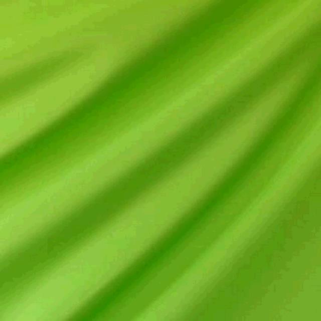 Rental store for LIME GREEN LINEN in Tupelo MS